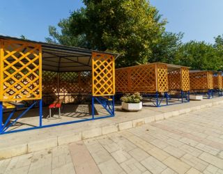 Санаторий "Янтарь" (ДОЛ)